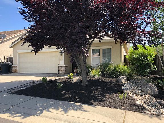 New low water landscaping