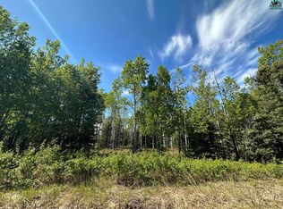L10 Janie Ln, Delta Junction, AK 99737