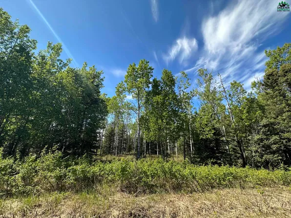L1 Leng Rd, Delta Junction, AK 99737