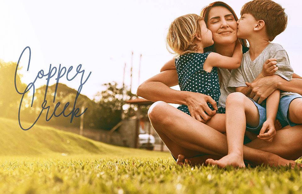 Copper Creek by D.R. Horton Jackson in Clinton MS Zillow