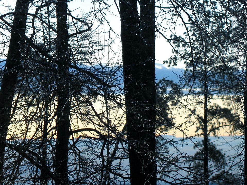 Winter Morning View