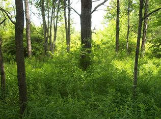 Penelope Rd, Willet, NY 13863