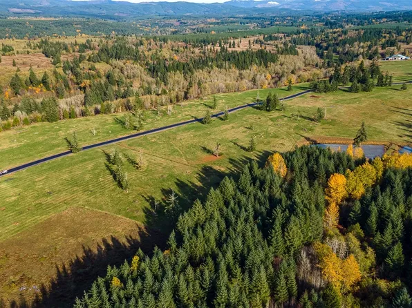 0 Birchfield Commons Lot P, Onalaska, WA 98570