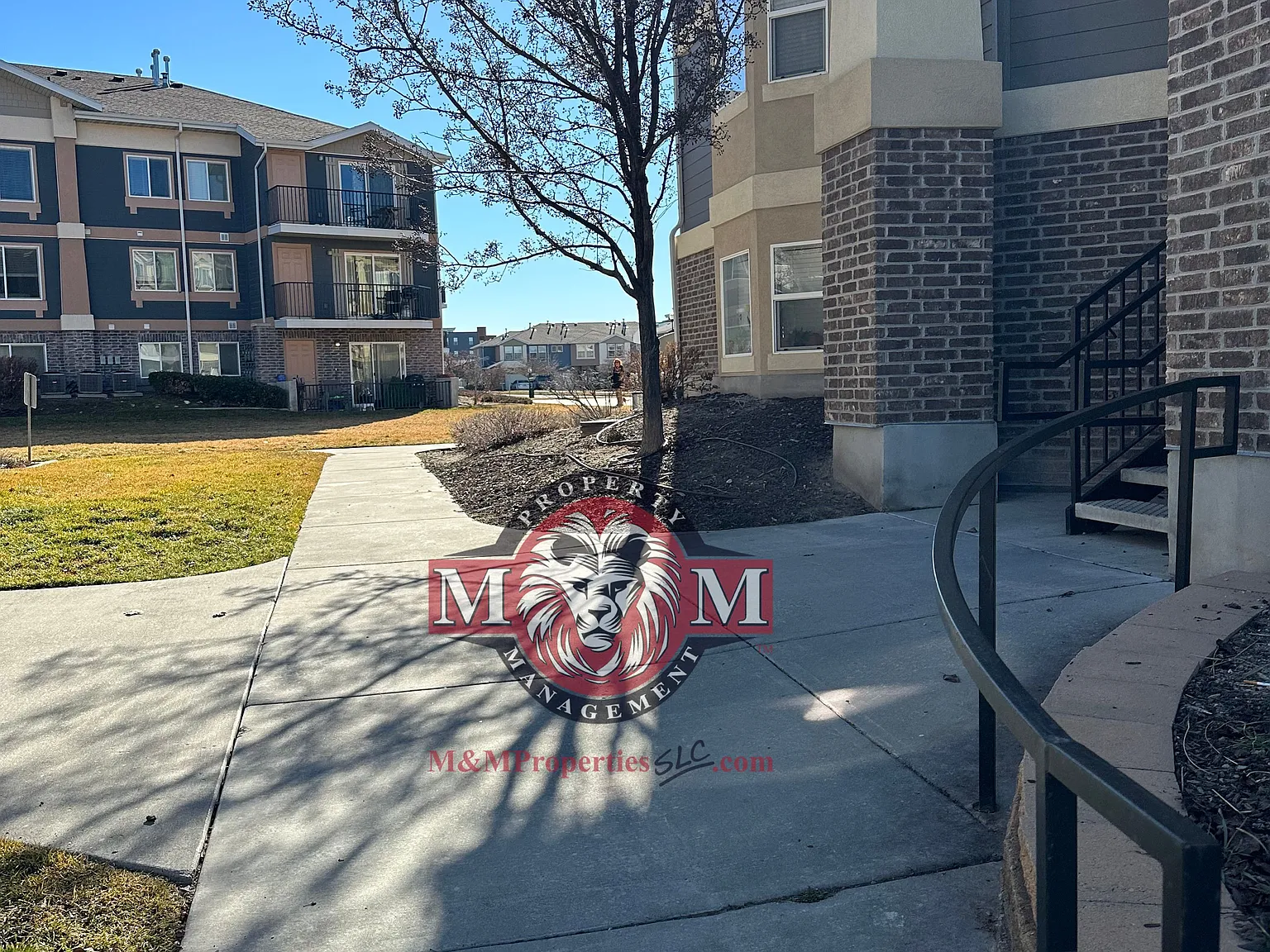 3 bed, 1247 sqft, $1,595 — Photo 2