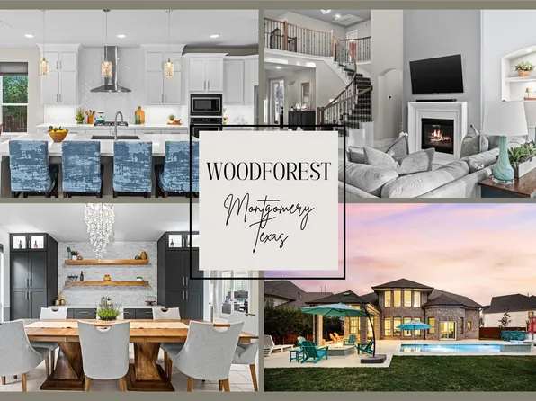 141 Bronze Bow Dr, Montgomery, TX 77316