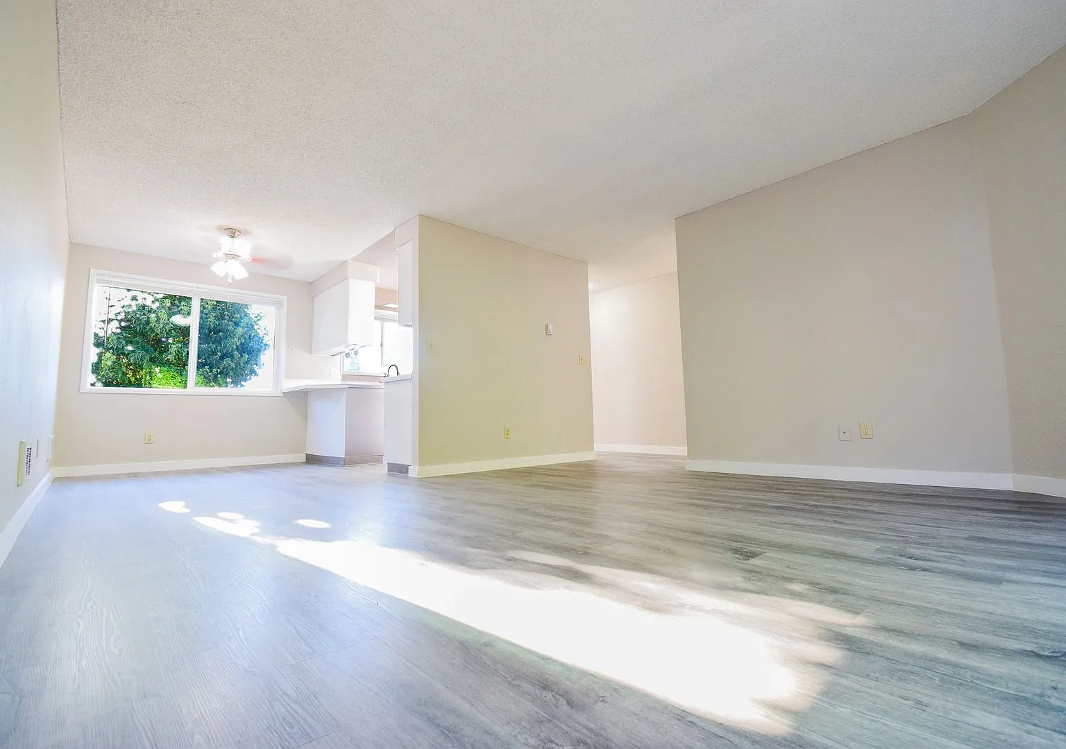 Newly Updated Single Level 2 Bedroom Apt in SE Portland! — Photo 2
