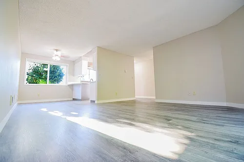 Newly Updated Single Level 2 Bedroom Apt in SE Portland! Photo 1