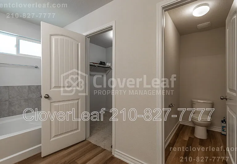 910 Red Crossbill — Photo 26