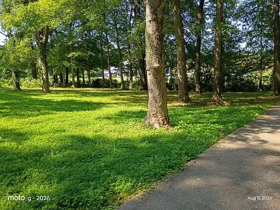 2909 County Road 214 — Photo 10