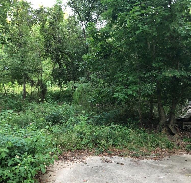 2nd image of 51 Dogwood Ln