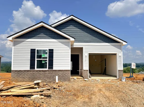 328 Chimney View Loop, Blountville, TN 37617