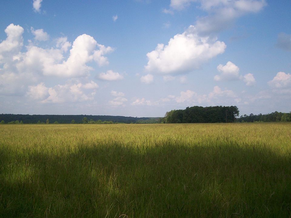 2nd image of OO Crowell Rd