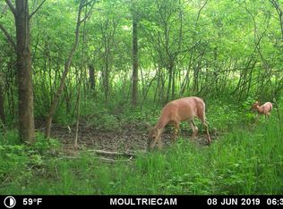 14000 Plank Rd, Clayton, MI 49235