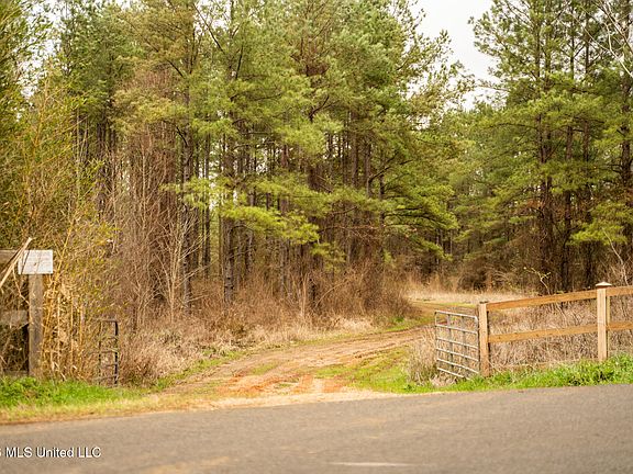 2nd image of County Road 8