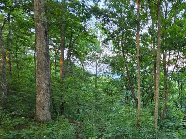 25 Bear Trl, Gap Mills, WV 24941