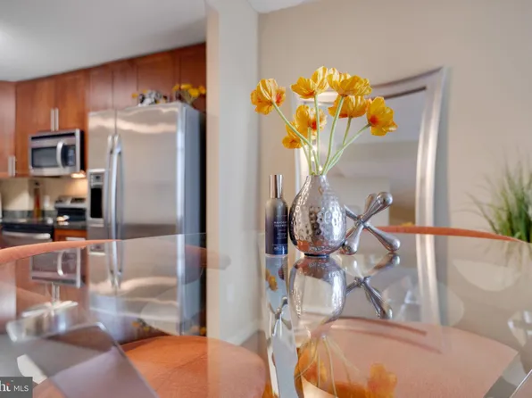 155 Potomac Psge Unit 533, Oxon Hill, MD 20745