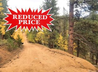 342 & 366 Brown Street LOT 70,71,72,73, Bailey, CO 80421