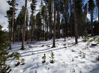 304 4 O'Clock Run Rd, Breckenridge, CO 80443