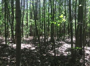 0 Dickerson Rd, Franklin, GA 30217