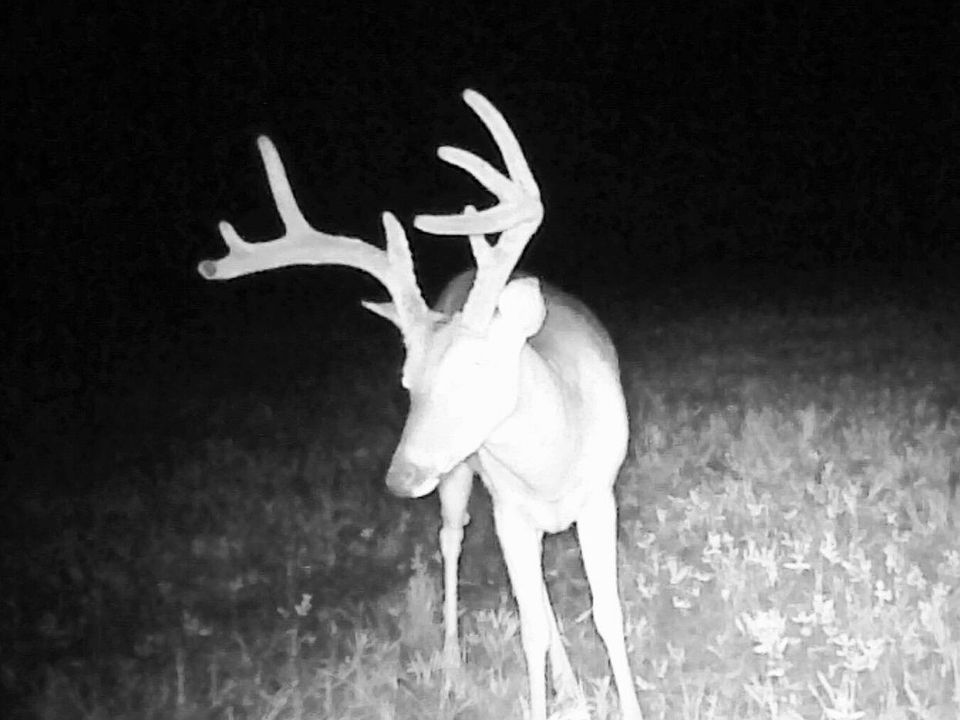 80 E 1910th Rd, Antlers, OK 74523 Zillow