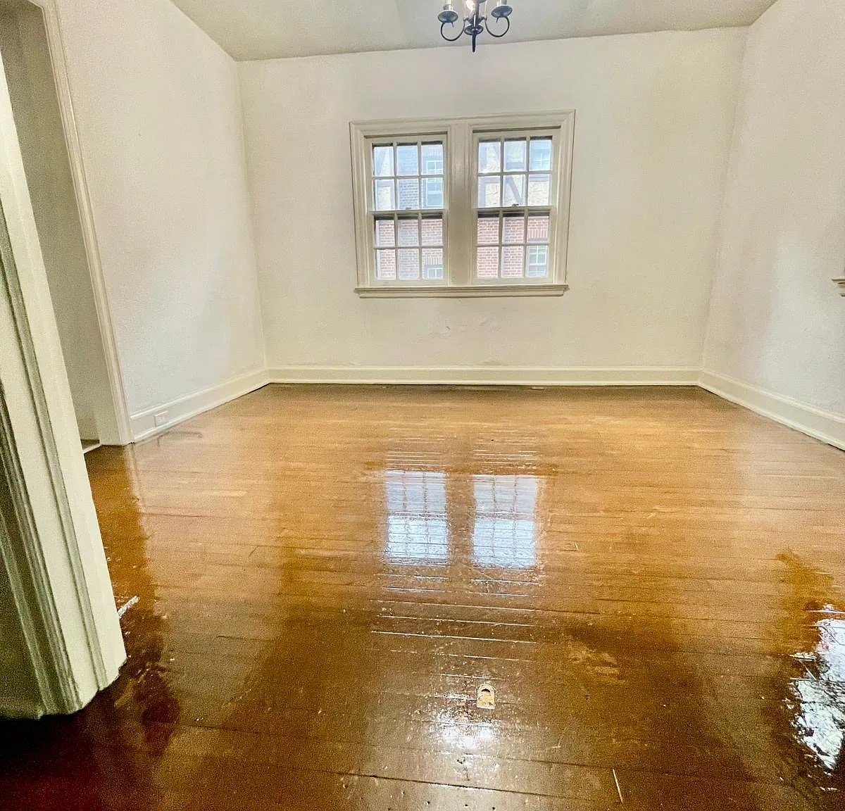 3 bed, 1000 sqft, $2,395 — Photo 4