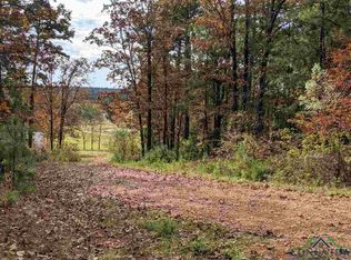 E Noonday Rd, Hallsville, TX 75650