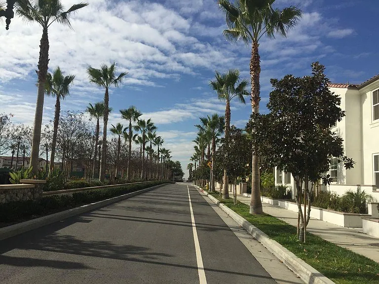Street
