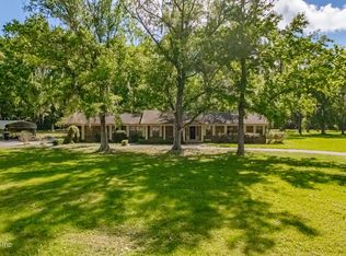 675 Tara Farms Dr, Middleburg, FL 32068