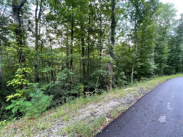 LOT 5 Stepping Stone Dr, Sevierville, TN 37862