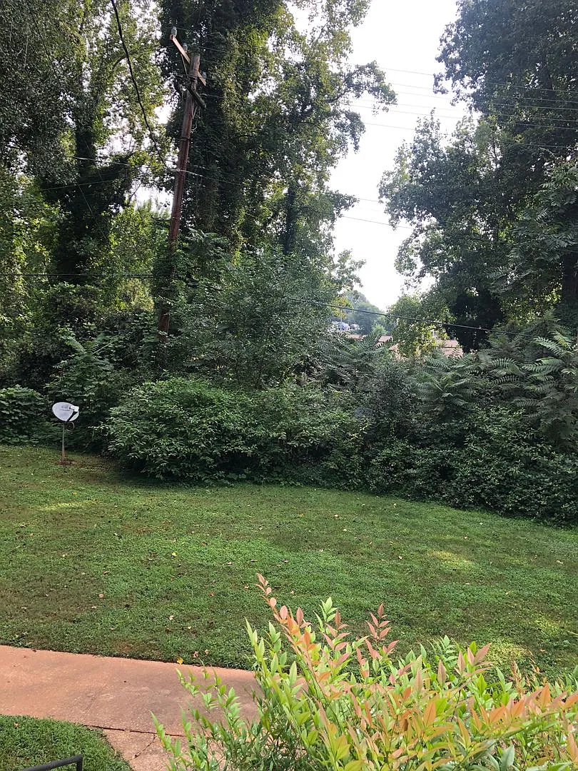 Greenville 2BD/1BA, 896SF — Photo 2
