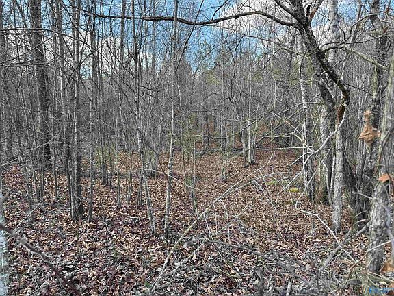 2nd image of 4 & 5 Estes Rd