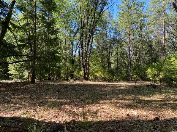 12595 Blackberry Trl, Grass Valley, CA 95945