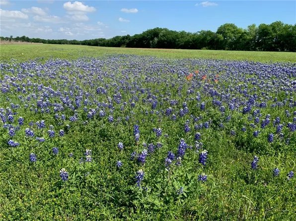 Speegle Rd, Woodway, TX 76712