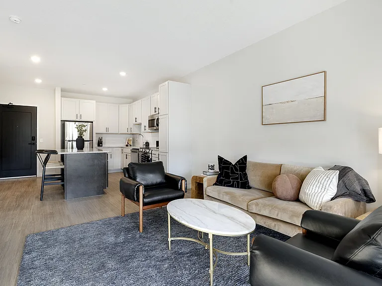 Living Area & Kitchen