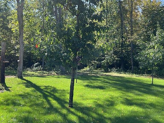 W2005 Cth M, White Lake, WI 54491 | MLS #208374 | Zillow