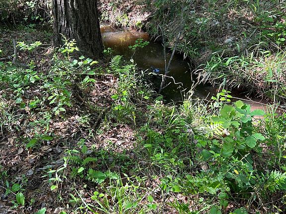 2nd image of 0 Benenhaley Rd