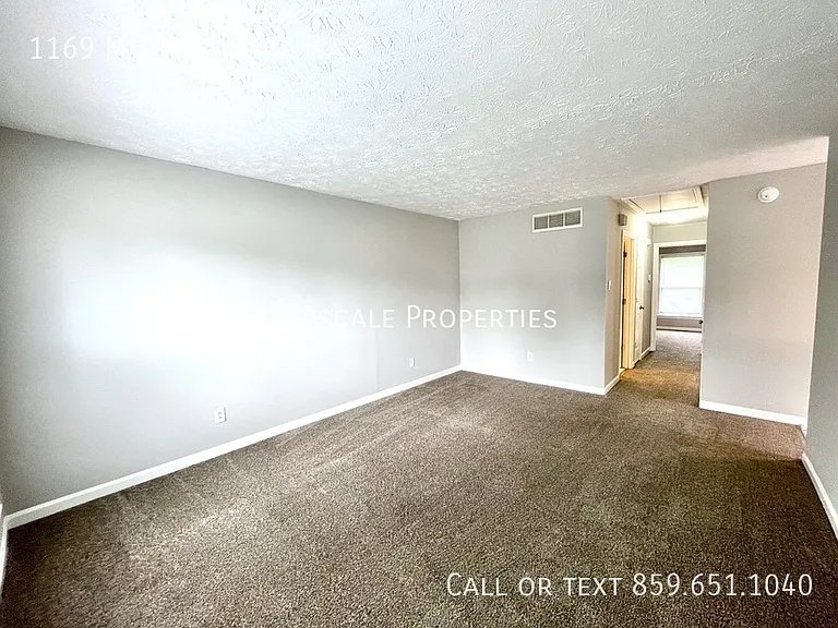 1169 Mount Rushmore Way — Photo 2