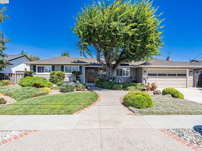38084 Ballard Dr, Fremont, CA, 94536