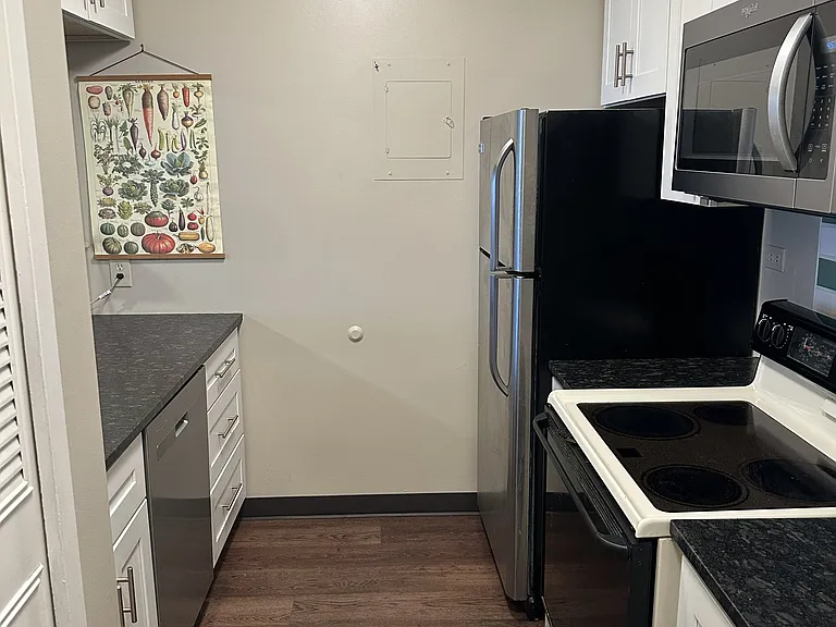 Kitchen, includes stainless steel appliances, dishwasher, microwave, and electric range.