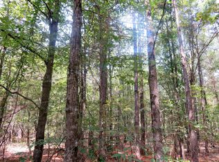 0 Clyde Place Vivian Rd, Vivian, LA 71082
