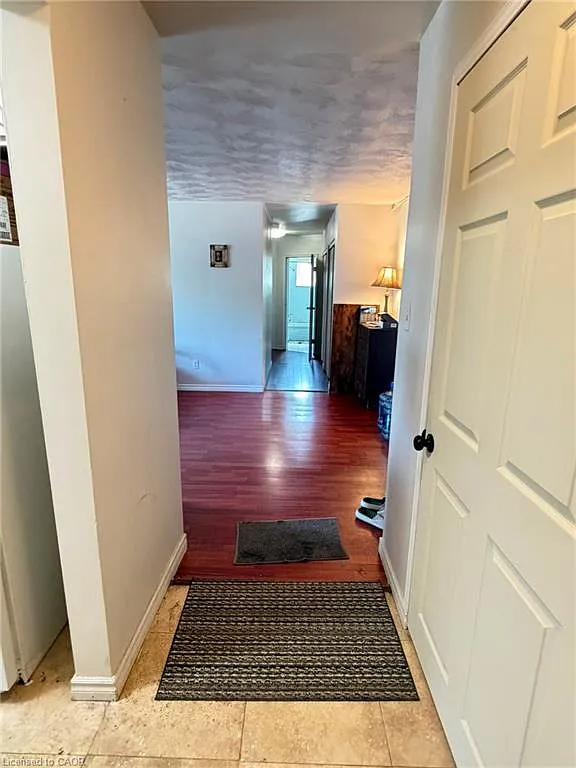 2 bed, 1.0 bath, 1000 sqft, $1,650 — Photo 3