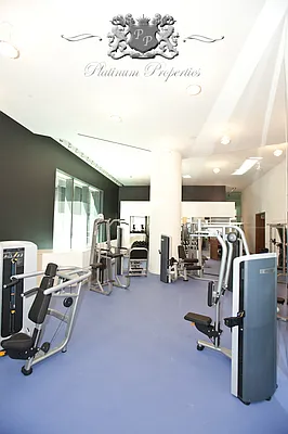 Rented by Platinum Properties | media 14