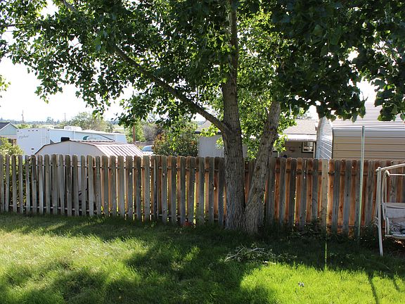 Lovely back yard to relax at
