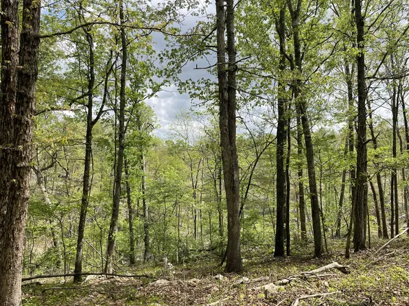 000 State Hwy N, Tract C, Ava, MO 65608