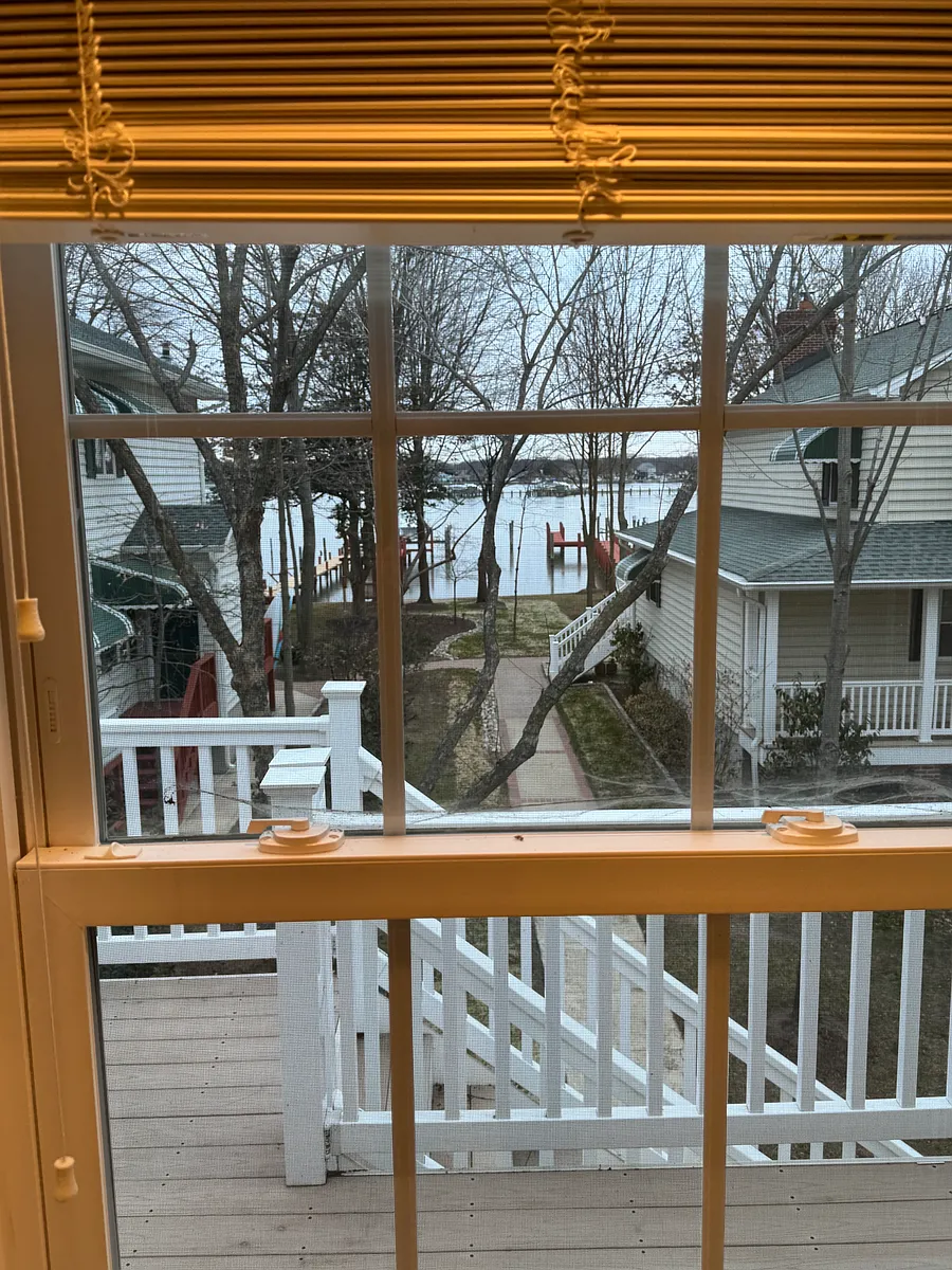 View from Bay Window in kitchen - 1512 Burke Rd #2