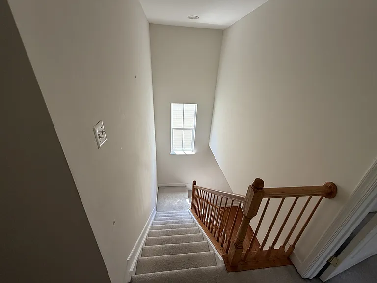 3921 Braveheart Cir — Photo 15