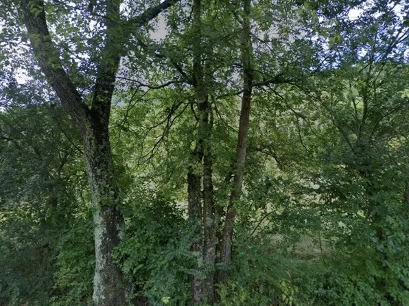 5034 Seymour Hollow Rd, Whites Creek, TN 37189