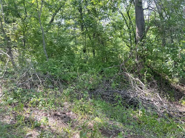 0 Hillview Ln, Perryville, MO 63775