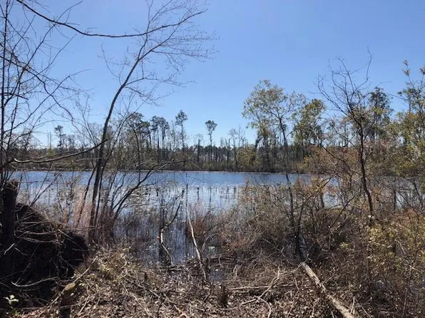 8075 Pinetree Dr, Donalsonville, GA 39845