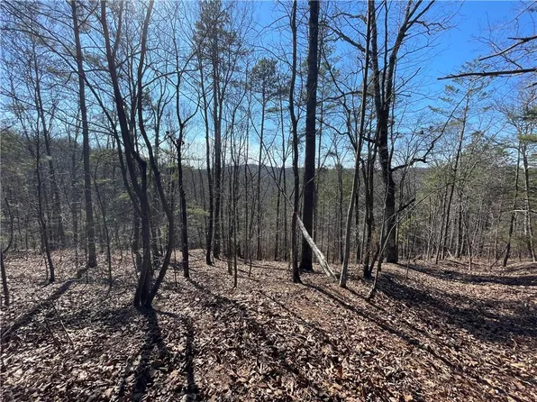 0 Long Branch Rd Lot 206, Ranger, GA 30734